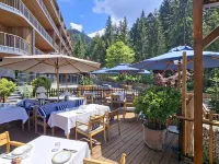 Swissôtel Poiana Brasov Hotels near Ruia