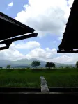 Takanosho