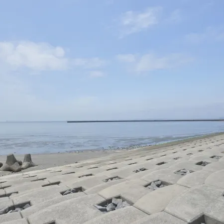 Famy Inn Makuhari