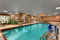 Embassy Suites by Hilton Chicago North Shore Deerfield - Swimmingpools