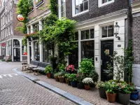 The Blossom House Amsterdam - Pensions