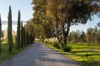 Villa Ecuestre - Pools