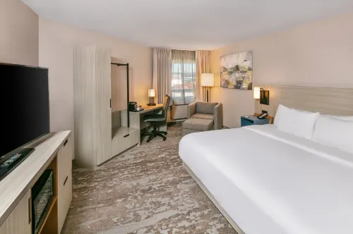 Comfort Inn - Pet Friendly