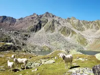 Diamant Hotels in Gemeinde Solden