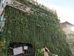 Vertical Garden Hostel