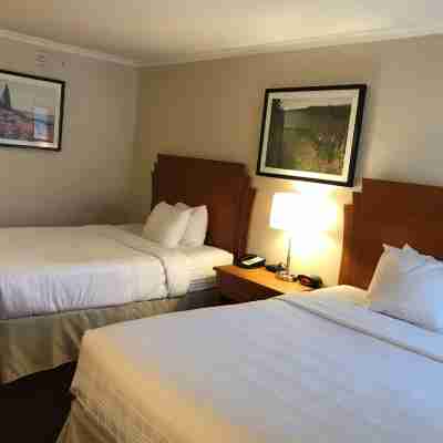 Best Western Thunder Bay Crossroads Rooms