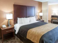 Comfort Inn North Conroe Hotels in Conroe
