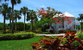 Shalimar Cottages and Motel