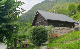 Beautiful Home in Tolmin with Jacuzzi, Wifi and 1 Bedrooms