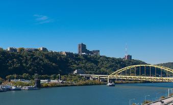 Fairfield Inn & Suites Pittsburgh Downtown