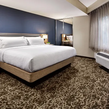 Hilton Garden Inn San Diego Mission Valley/Stadium Отели рядом с достопримечательностью «Стадион SDCCU»