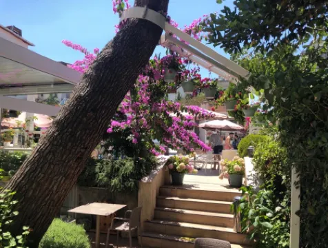 Ascot Hotel Büyükada