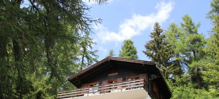 Chalet Soldanella (Bel205) Hotels in Goms