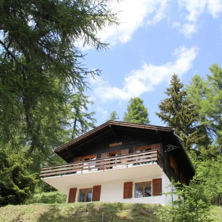 Chalet Soldanella (Bel205)