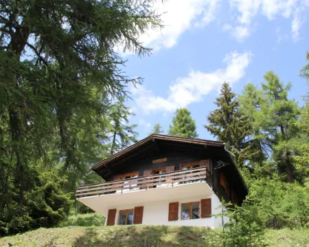 Chalet Soldanella (Bel205) ベルヴァルトのホテル