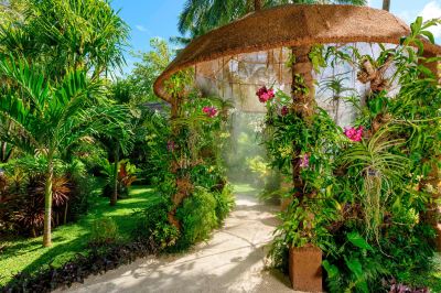 庭 シェラトン モルディブ フルムーン リゾート&スパの写真