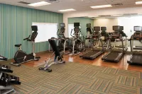 丹佛奧羅拉醫學校區智選假日套房酒店 - 健身室/gym room