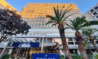 Hotel Princesa Plaza Madrid