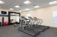 Hampton Inn & Suites Chicago/Schaumburg - Træningscentre
