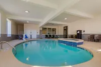 Comfort Inn & Suites Macon West - Kolam Renang