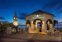 Hilton Daytona Beach Oceanfront Resort Hotels near Bethune-Cookman University