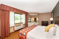 AmericInn by Wyndham Coralville - Pet friendly