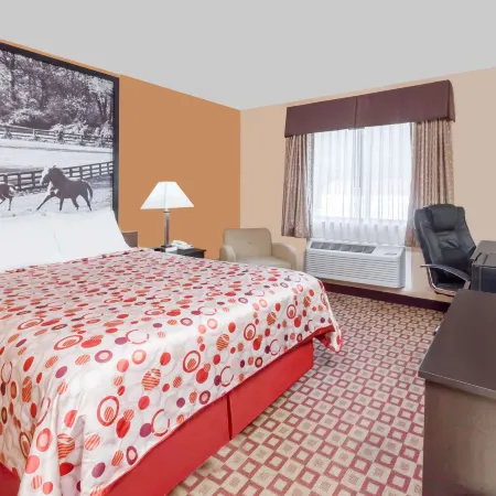 Super 8 by Wyndham Bowling Green South