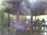 Rainforest Eco Lodge