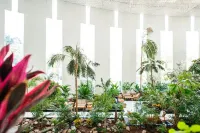 Spring Hotel Vulcano Hotels in Плайя-де-лас-Амерікас