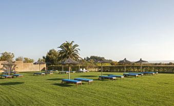 a large , grassy area with several blue and white ping pong tables scattered across the field at Herdade Do Touril