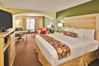 La Quinta Inn & Suites by Wyndham Rochester Mayo Clinic S Hotels in Rochester