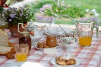 Il Mirto B&B Hotels in Borgomaro
