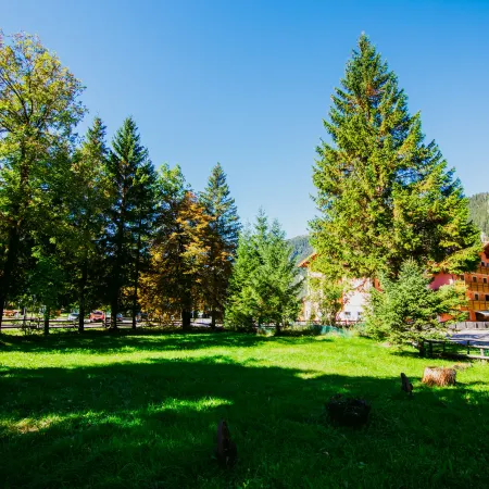 Cesa Minach