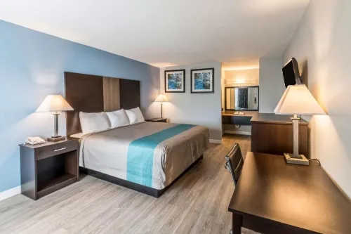 Super 8 by Wyndham Mineral Wells Hotels in Mineral Wells
