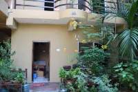 Hotel National Park Sauraha- Homely Stay and Peaceful Location