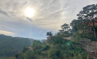 D House Dalat