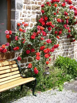 La Cloue B&B Hotels in Lassay-Les-Chateaux