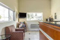 سيجنيتشر إن بركيلي