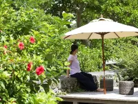 Denpaku Lily's House