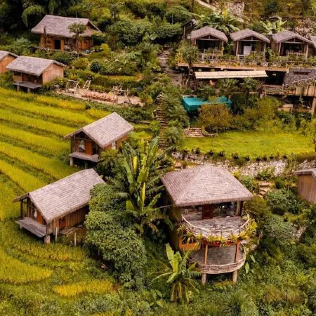 Eco Palms House - Sapa Retreat