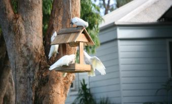 Jervis Bay Love Shack