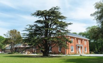 Reymerston Hall