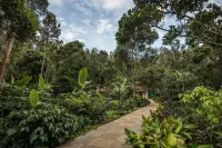 Shambala Yercaud