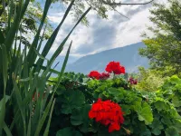 Qashqar Heights Hotels in Chitral