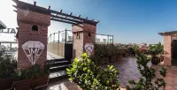 Hotel Almas Hotels near palmeraie marrakech chameau