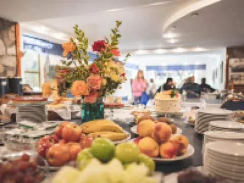 Patagonia Plaza Hotel Hotels in San Martin De Los Andes