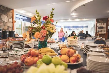 Patagonia Plaza Hotel Отели в г. Сан-Мартин-де-лос-Андес