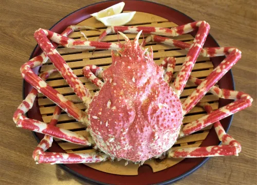 Mihama Restelle