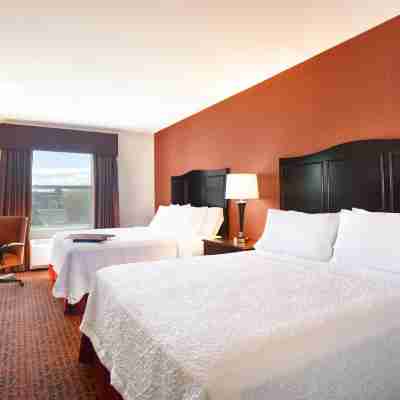 Hampton Inn Lewiston/Auburn Rooms