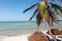 Moayana Liora Zanzibar - Beach
